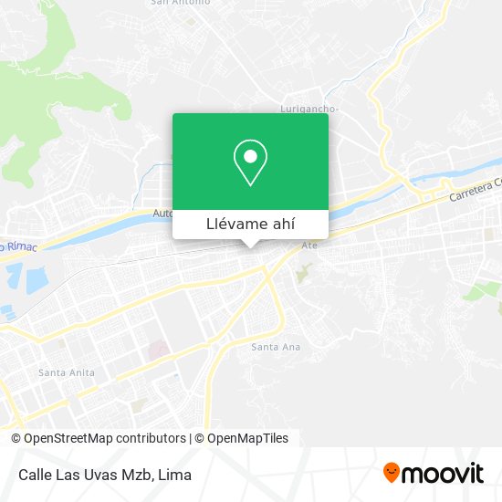 Mapa de Calle Las Uvas Mzb