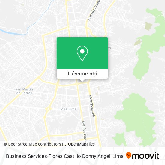 Mapa de Business Services-Flores Castillo Donny Angel