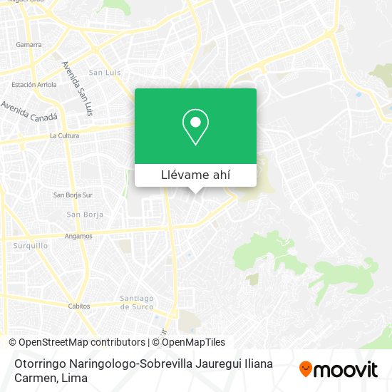 Mapa de Otorringo Naringologo-Sobrevilla Jauregui Iliana Carmen