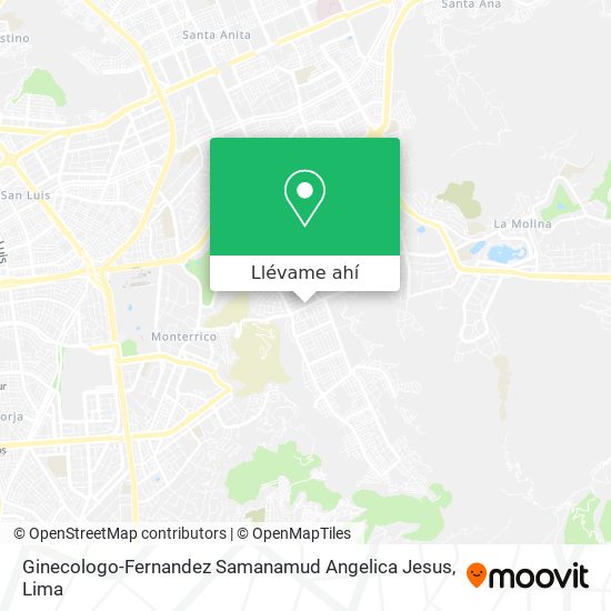 Mapa de Ginecologo-Fernandez Samanamud Angelica Jesus