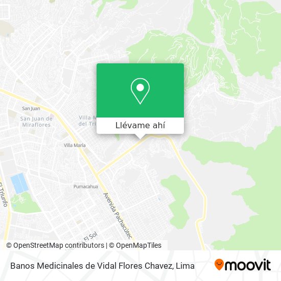 Mapa de Banos Medicinales de Vidal Flores Chavez