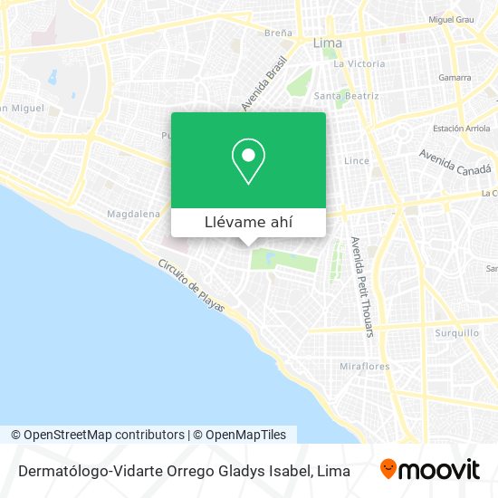 Mapa de Dermatólogo-Vidarte Orrego Gladys Isabel