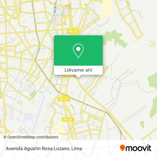 Mapa de Avenida Agustin Rosa Lozano