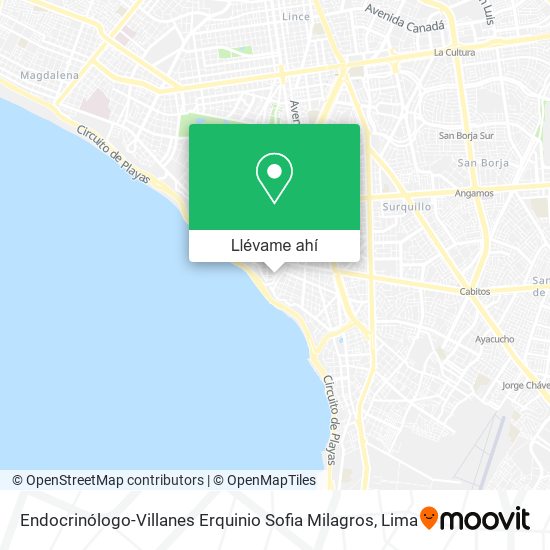 Mapa de Endocrinólogo-Villanes Erquinio Sofia Milagros