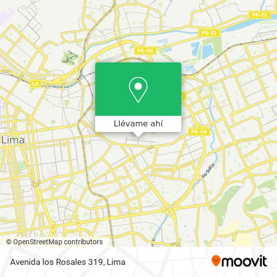 Mapa de Avenida los Rosales 319