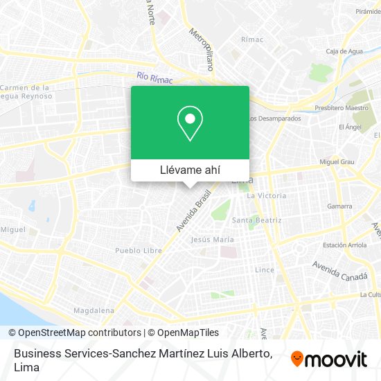 Mapa de Business Services-Sanchez Martínez Luis Alberto