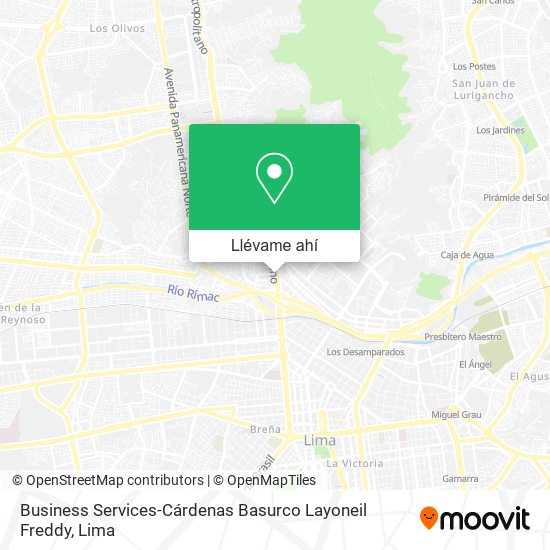 Mapa de Business Services-Cárdenas Basurco Layoneil Freddy