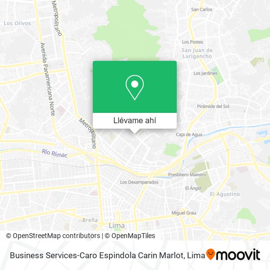 Mapa de Business Services-Caro Espindola Carin Marlot
