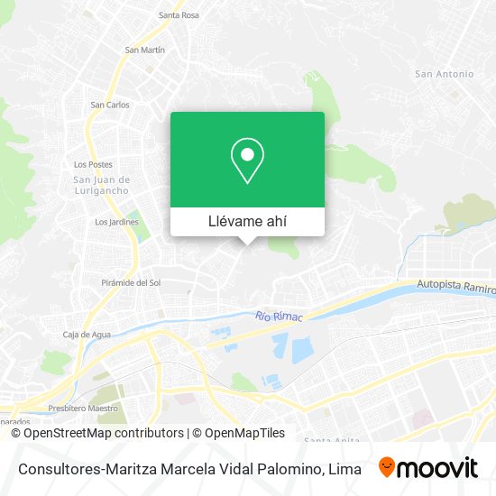Mapa de Consultores-Maritza Marcela Vidal Palomino