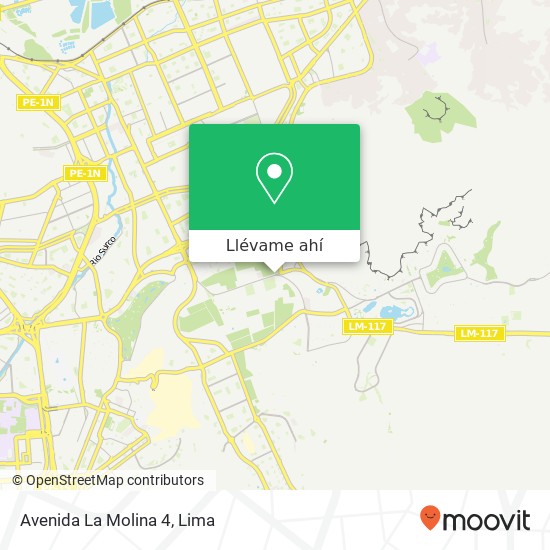 Mapa de Avenida La Molina 4
