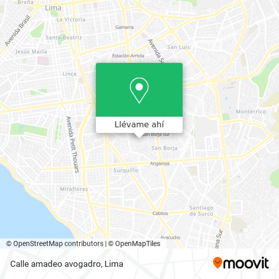 Mapa de Calle amadeo avogadro