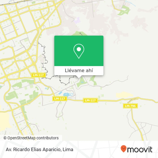 Mapa de Av. Ricardo Elias Aparicio