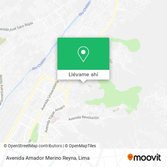 Mapa de Avenida Amador Merino Reyna