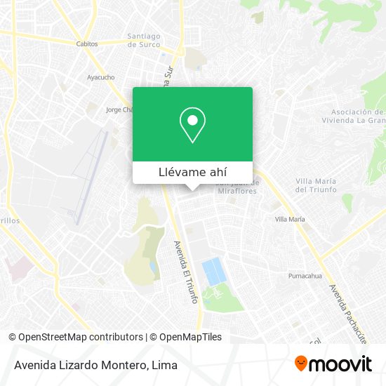 Mapa de Avenida Lizardo Montero