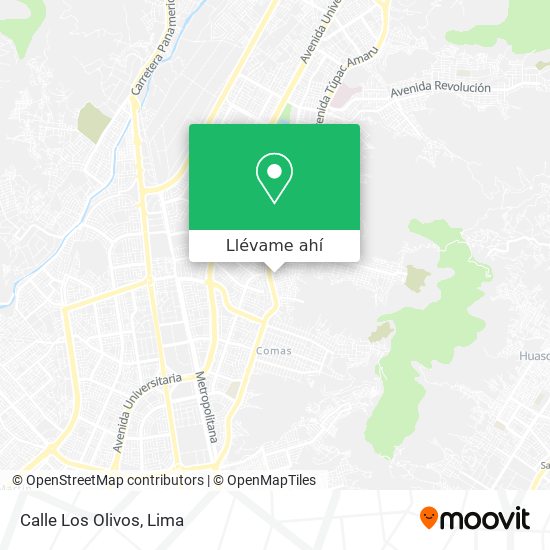 Mapa de Calle Los Olivos