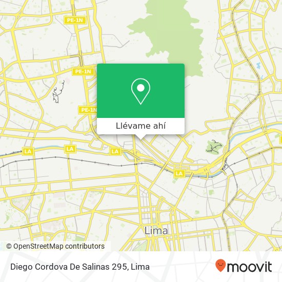 Mapa de Diego Cordova De Salinas 295