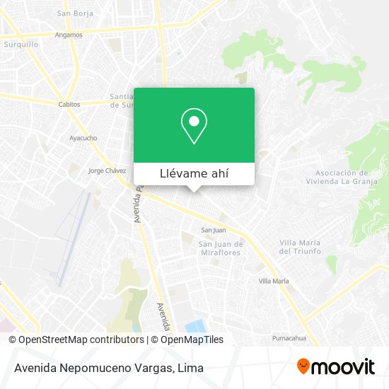 Mapa de Avenida Nepomuceno Vargas