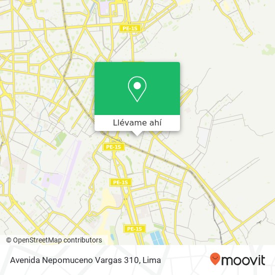 Mapa de Avenida Nepomuceno Vargas 310