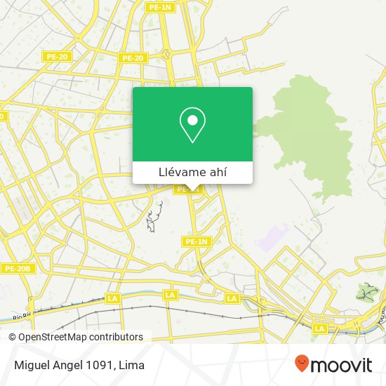 Mapa de Miguel Angel 1091