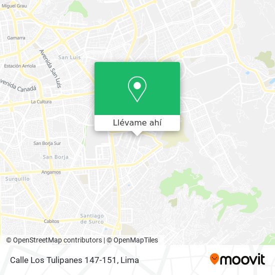 Mapa de Calle Los Tulipanes 147-151