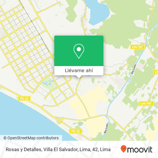 Mapa de Rosas y Detalles, Villa El Salvador, Lima, 42