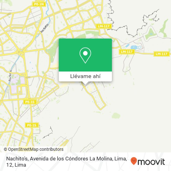 Mapa de Nachito's, Avenida de los Cóndores La Molina, Lima, 12