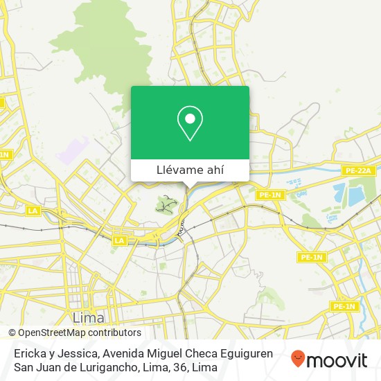 Mapa de Ericka y Jessica, Avenida Miguel Checa Eguiguren San Juan de Lurigancho, Lima, 36