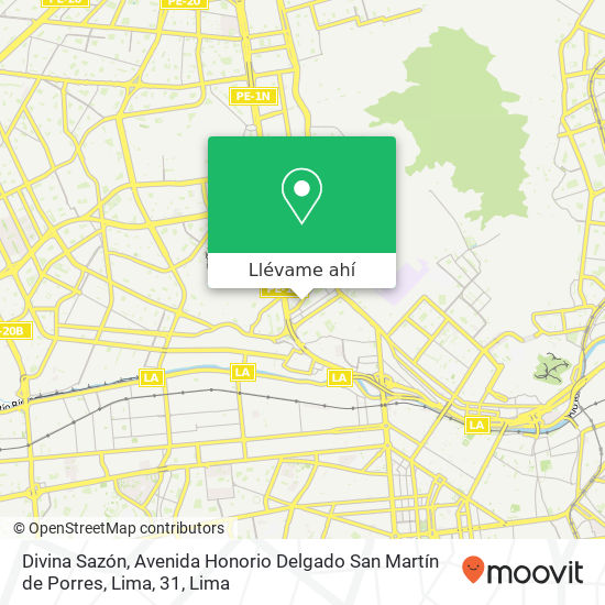 Mapa de Divina Sazón, Avenida Honorio Delgado San Martín de Porres, Lima, 31