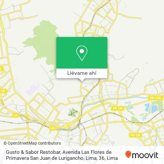 Mapa de Gusto & Sabor Restobar, Avenida Las Flores de Primavera San Juan de Lurigancho, Lima, 36