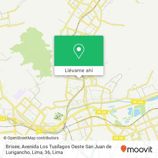 Mapa de Brisee, Avenida Los Tusílagos Oeste San Juan de Lurigancho, Lima, 36