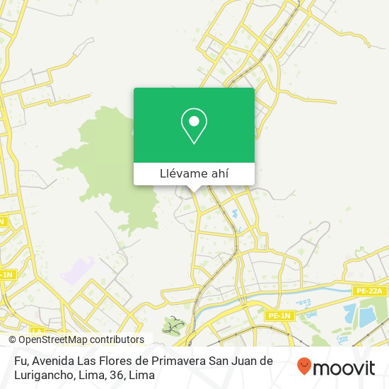 Mapa de Fu, Avenida Las Flores de Primavera San Juan de Lurigancho, Lima, 36