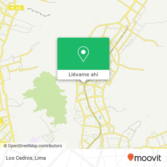 Mapa de Los Cedros, Avenida Jorge Basadre Oeste San Juan de Lurigancho, Lima, 36