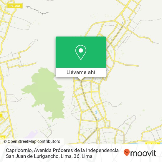 Mapa de Capricornio, Avenida Próceres de la Independencia San Juan de Lurigancho, Lima, 36