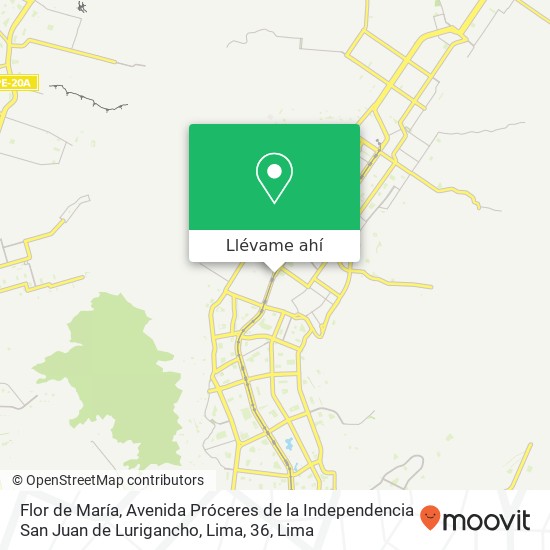 Mapa de Flor de María, Avenida Próceres de la Independencia San Juan de Lurigancho, Lima, 36