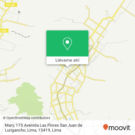 Mapa de Mary, 175 Avenida Las Flores San Juan de Lurigancho, Lima, 15419