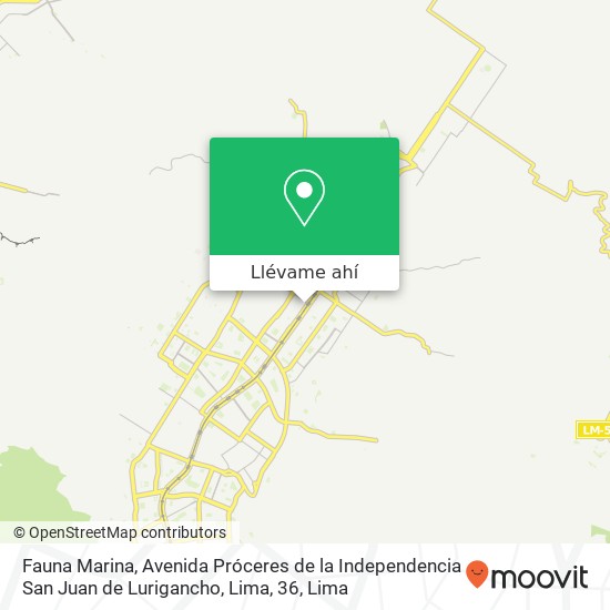Mapa de Fauna Marina, Avenida Próceres de la Independencia San Juan de Lurigancho, Lima, 36