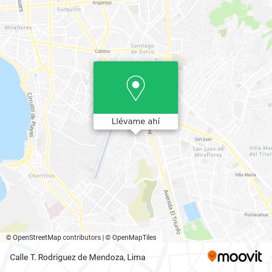Mapa de Calle T. Rodriguez de Mendoza