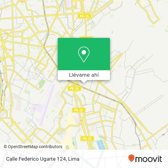 Mapa de Calle Federico Ugarte 124