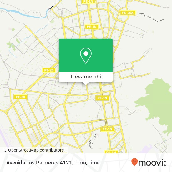 Mapa de Avenida Las Palmeras 4121, Lima