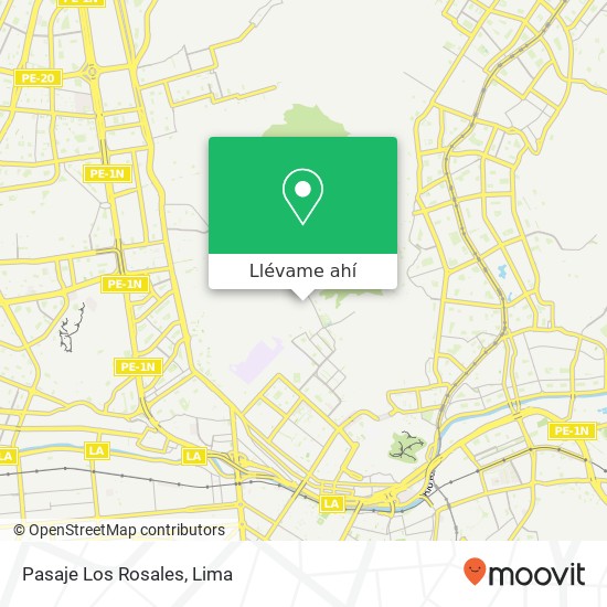 Mapa de Pasaje Los Rosales