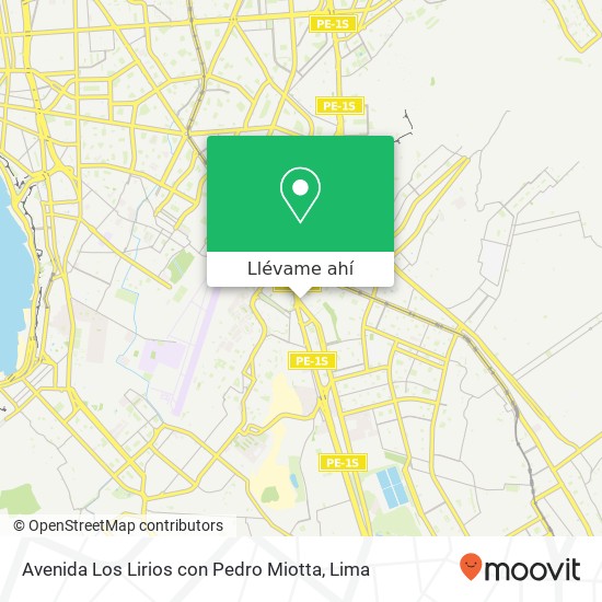 Mapa de Avenida Los Lirios con Pedro Miotta