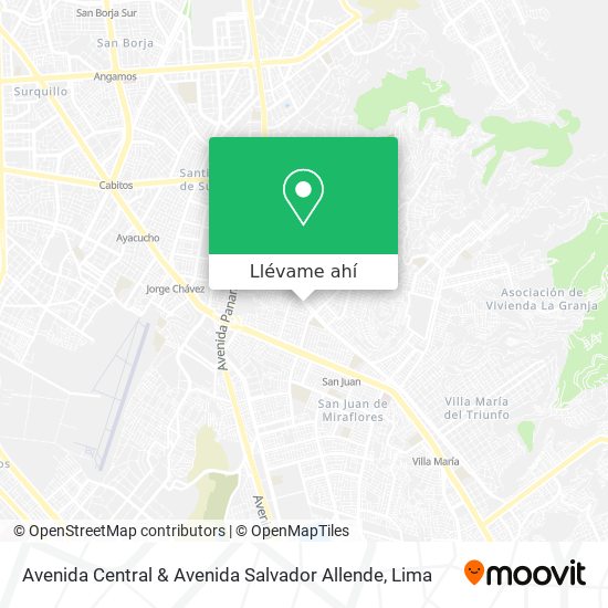 Mapa de Avenida Central & Avenida Salvador Allende