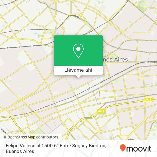 Mapa de Felipe Vallese al 1500 6° Entre Segui y  Biedma