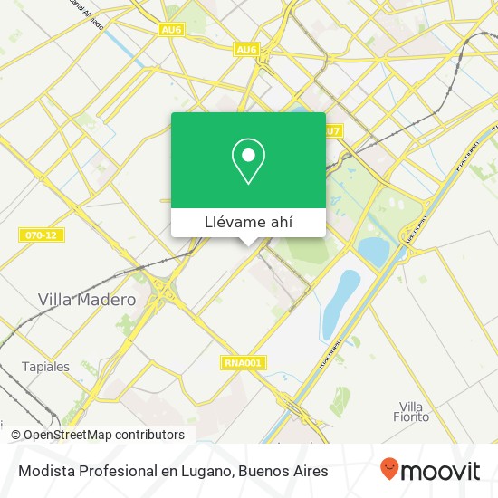 Mapa de Modista Profesional en Lugano