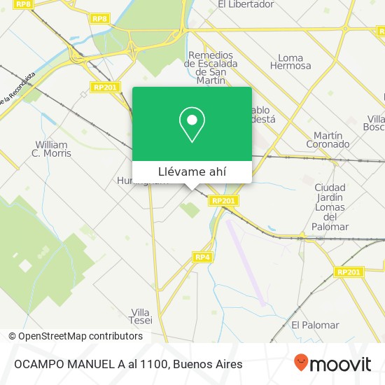 Mapa de OCAMPO MANUEL A al 1100