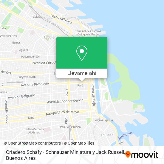 Mapa de Criadero Schafy - Schnauzer Miniatura y Jack Russell