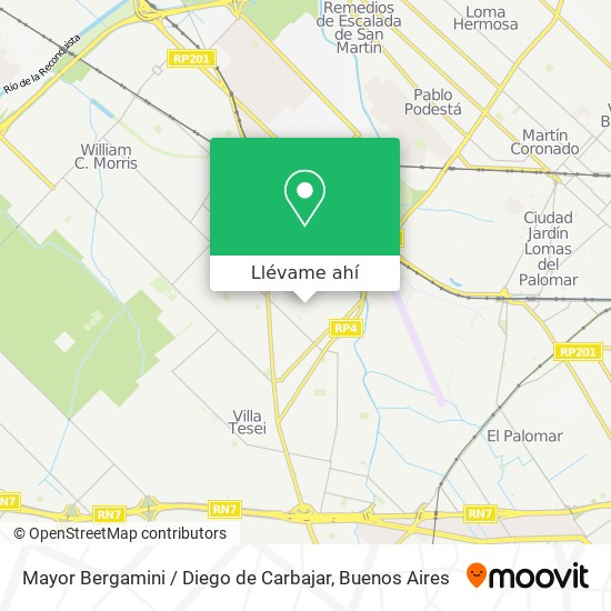 Mapa de Mayor Bergamini / Diego de Carbajar