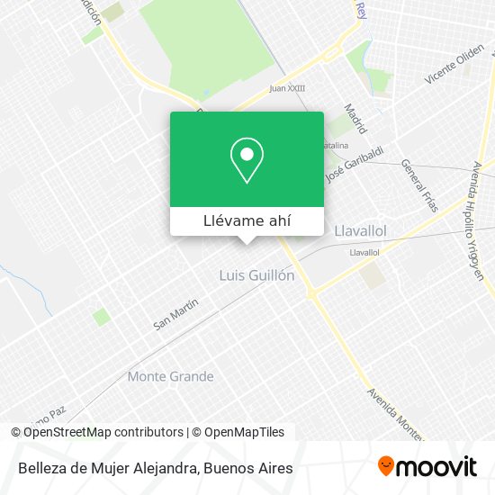 Mapa de Belleza de Mujer Alejandra