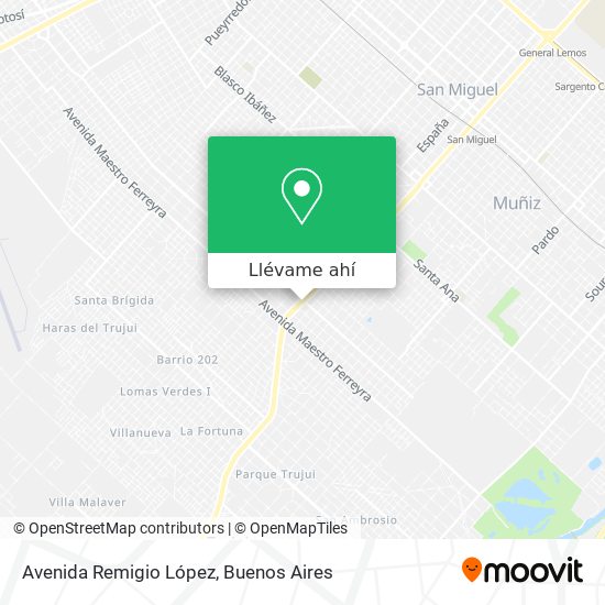 Mapa de Avenida Remigio López