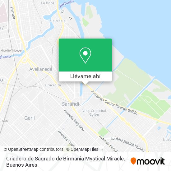 Mapa de Criadero de Sagrado de Birmania Mystical Miracle